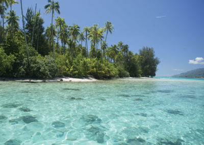 moorea-activites-excursions-hotel-e-tahiti-travel-packages-sejour-polynesie