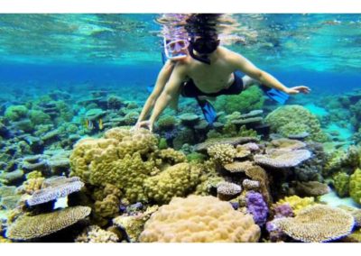 Ecotour Pure snorkeling dans le lagon de Bora Bora